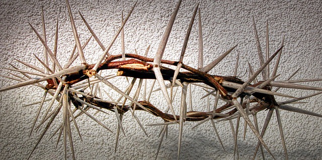 La corona de espinas de Jesús.