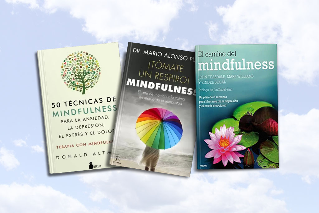 libro de mindfulnes