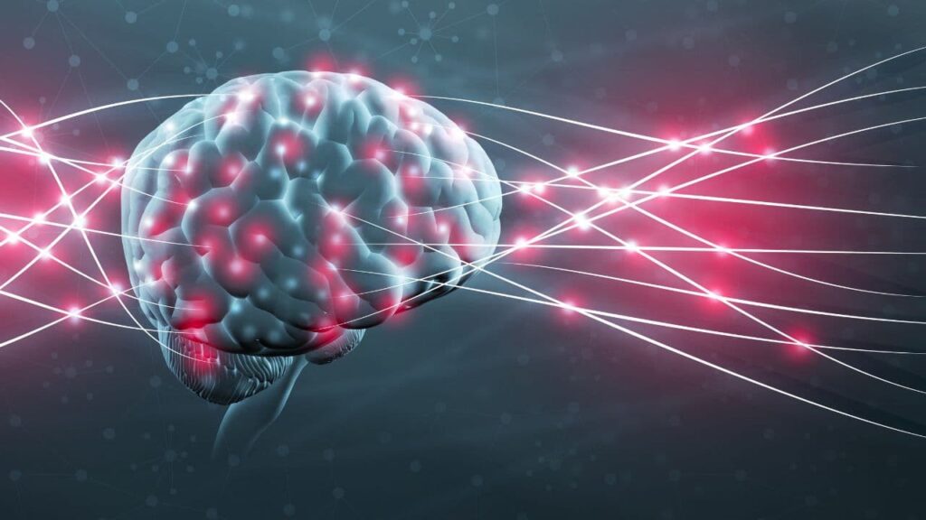 Ilustración de un cerebro con conexiones neuronales activas, simbolizando el proceso de formación de hábitos en la mente humana.